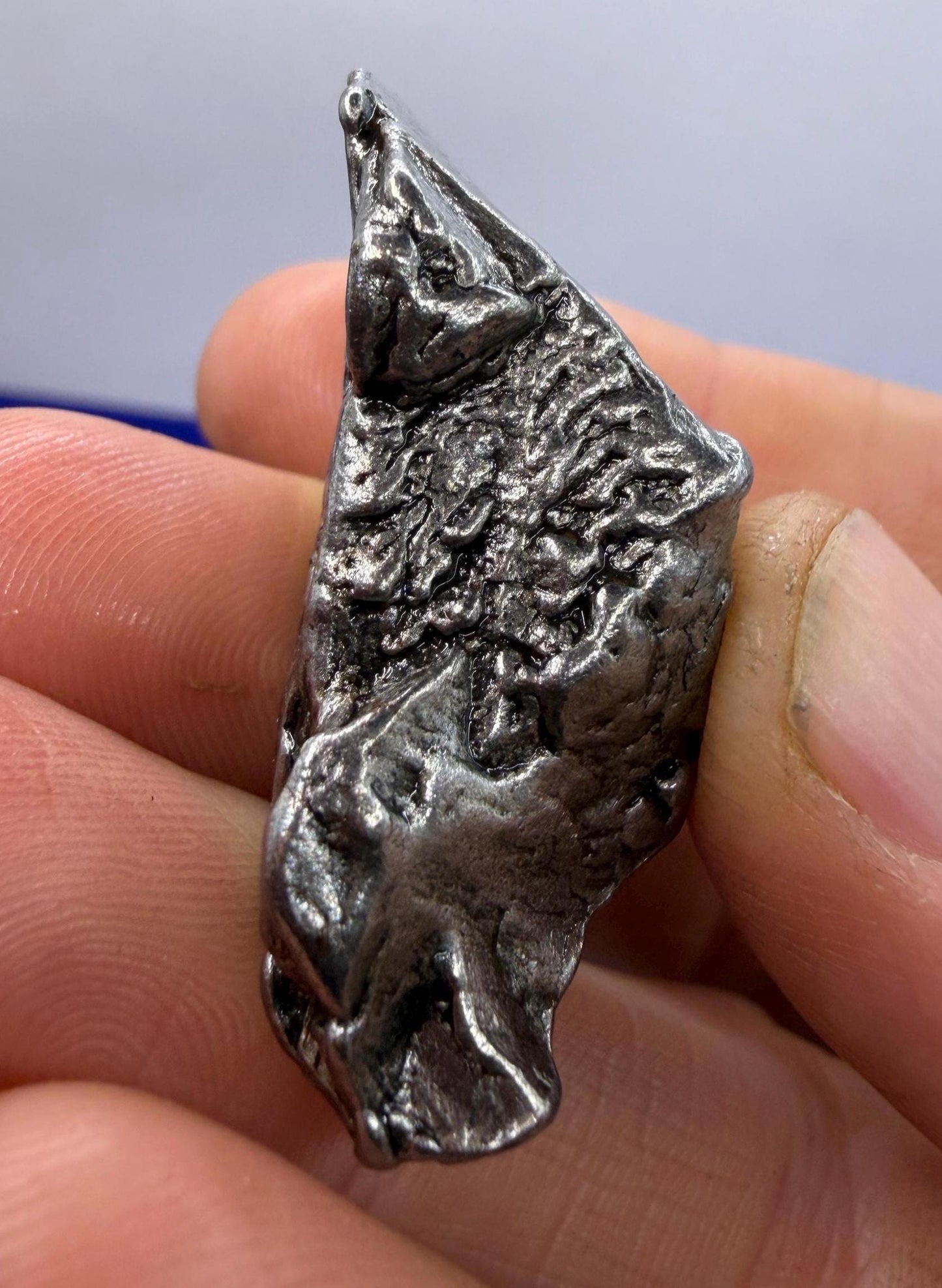 Aletai Iron-Nickel Meteorite Specimen: Astronomy Gift, COA, 40.65g