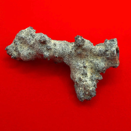 Sahara Desert Fulgurite: Fossilized Lightning, Energy Work, 5.59 grams