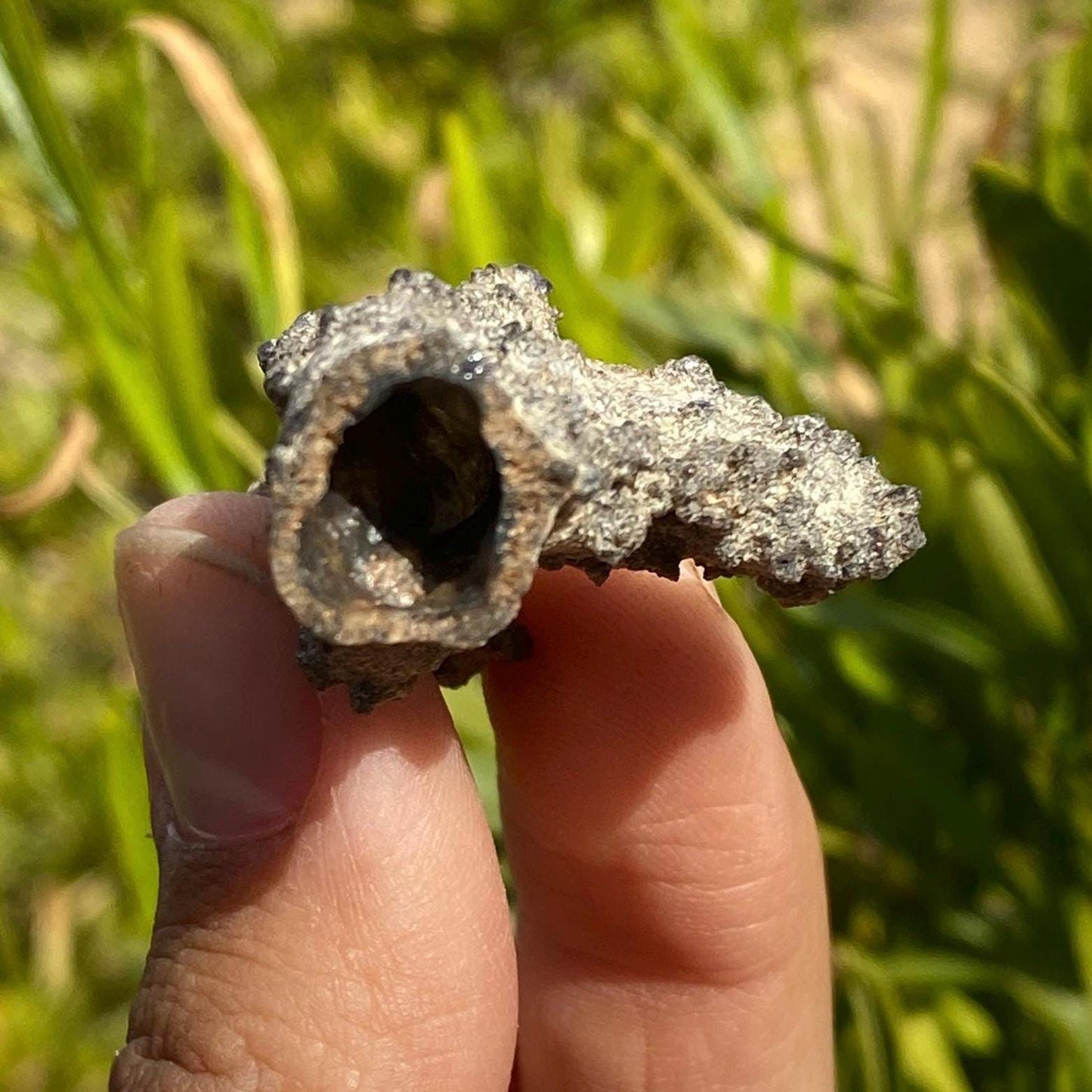 Sahara Desert Fulgurite: Fossilized Lightning, Energy Work, 5.59 grams