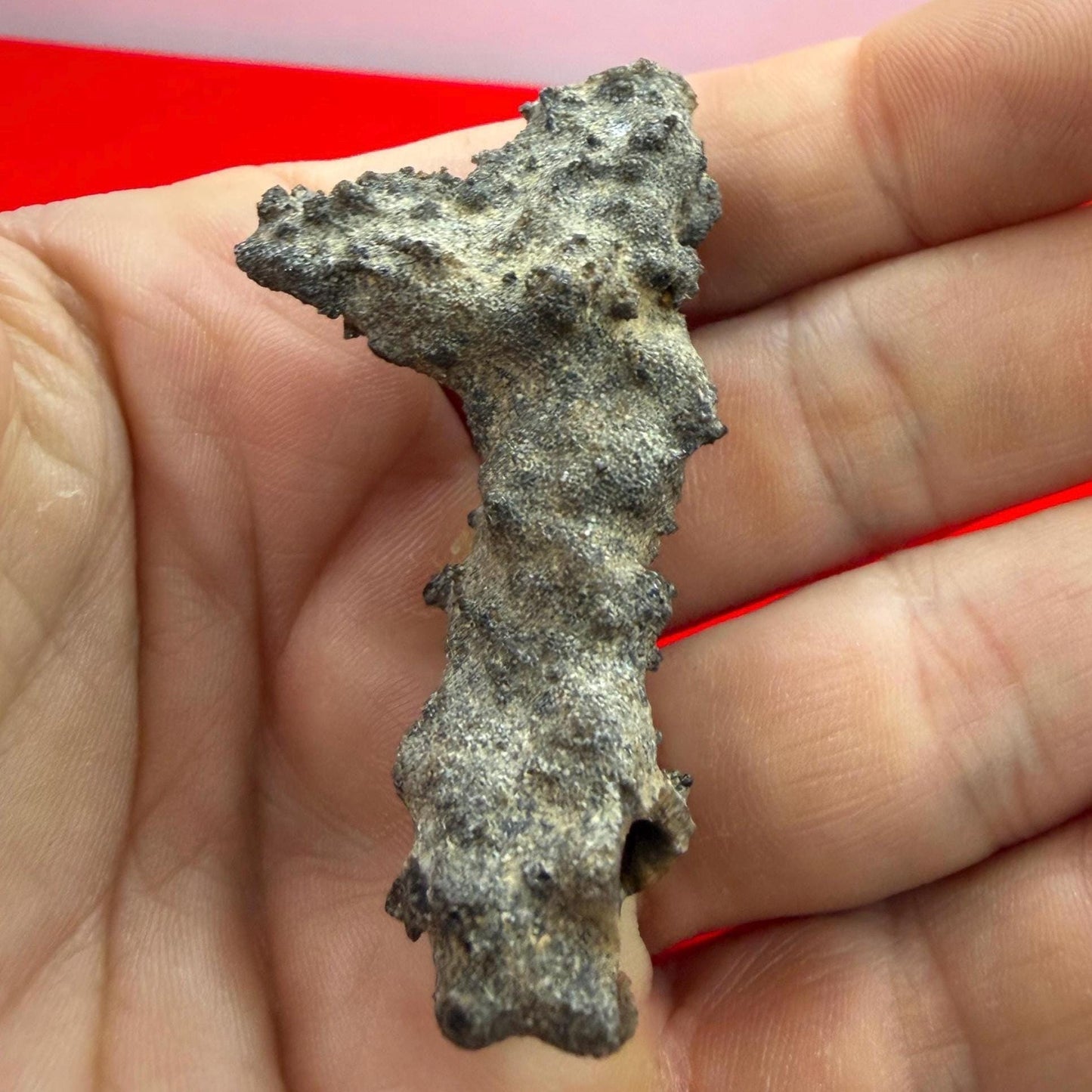 Sahara Desert Fulgurite: Fossilized Lightning, Energy Work, 5.59 grams