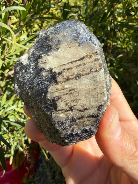 Brazilian Phenacite Crystal: Full Moon Activated, Meditation Stone (245.69 grams)