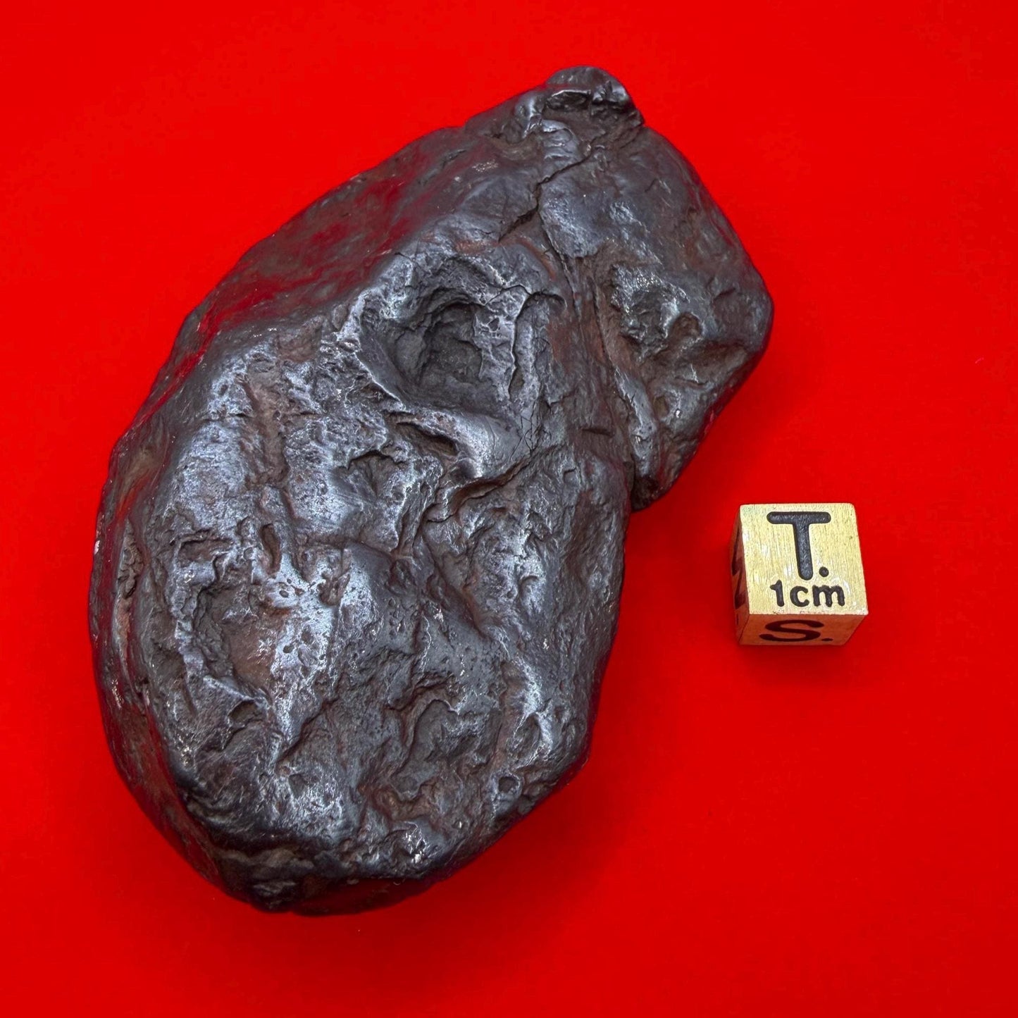 Uruacu Iron Meteorite Specimen: Brazilian Space Gift, Authentic Meteorite, 319 Grams