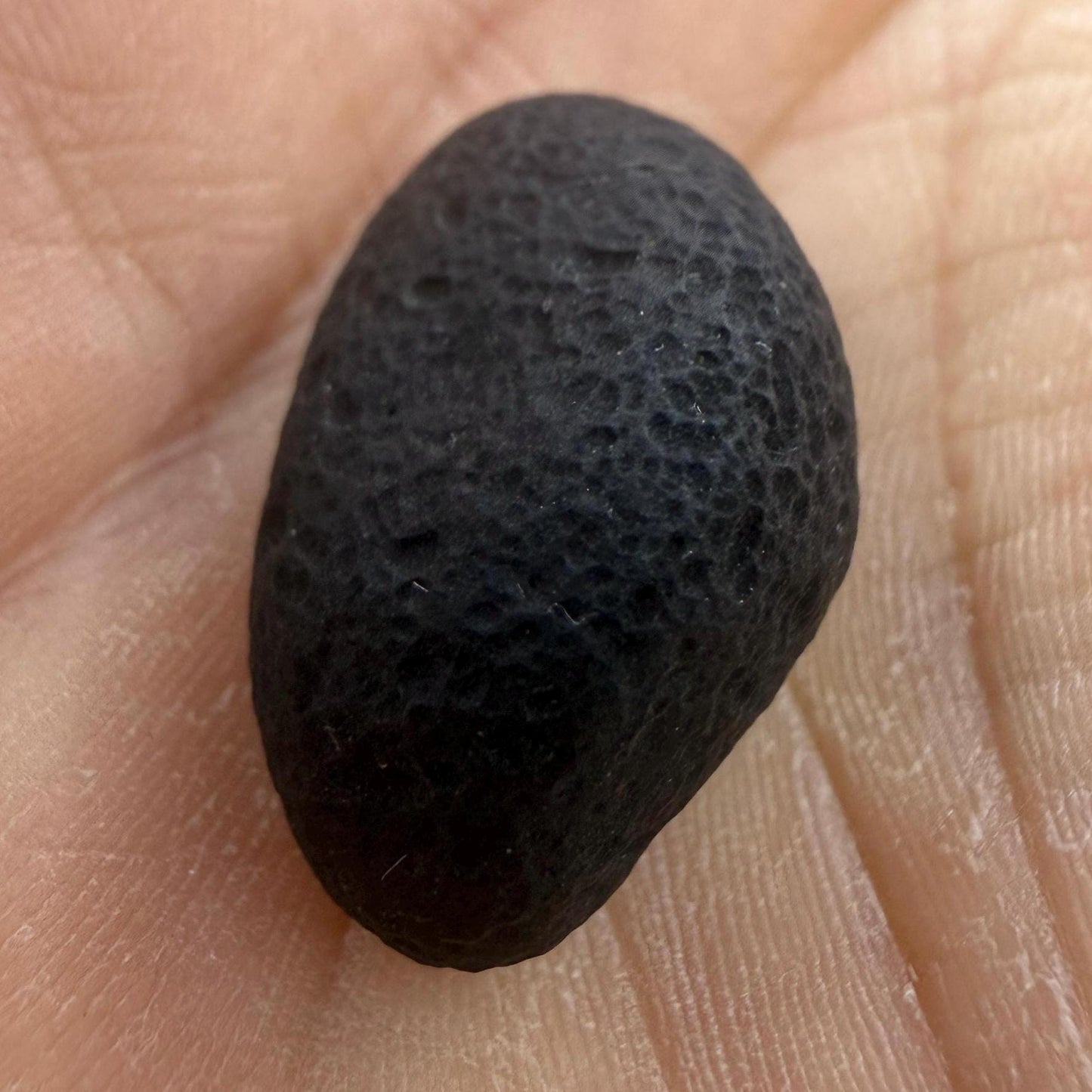 Saffordite Stone: Rare Cintamani, Arizona Tektite - 5.98 Grams