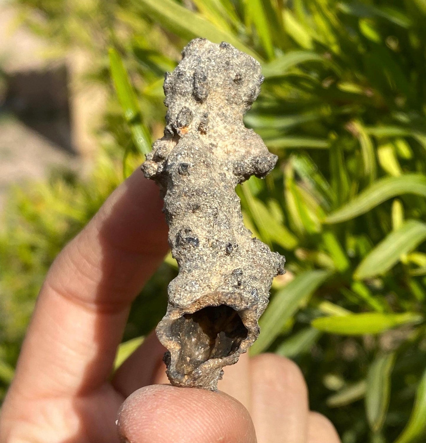 Sahara Desert Fulgurite: Fossilized Lightning, Energy Work, 5.59 grams
