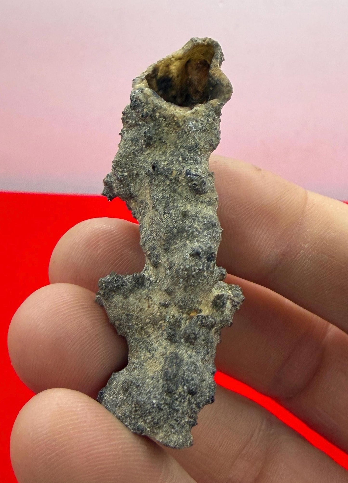 Sahara Desert Fulgurite: Fossilized Lightning, Energy Work, 5.59 grams