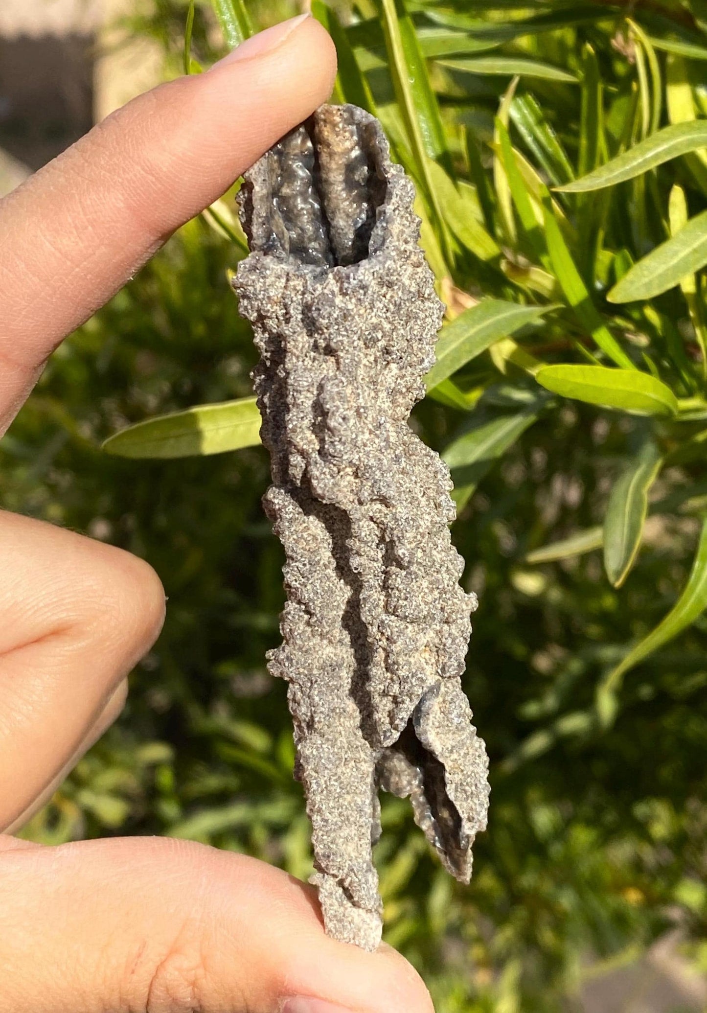 Sahara Desert Fulgurite: Fossilized Lightning, Energy Work, 10.00 grams