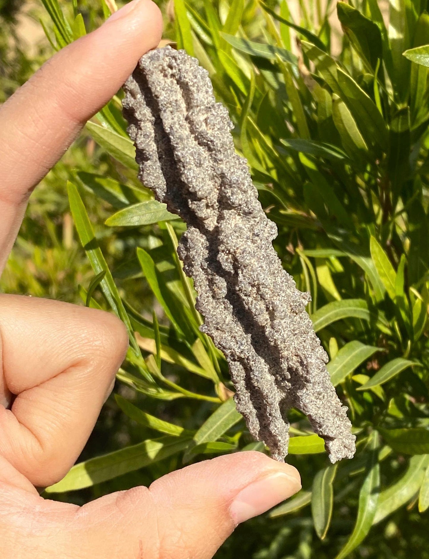 Sahara Desert Fulgurite: Fossilized Lightning, Energy Work, 10.00 grams