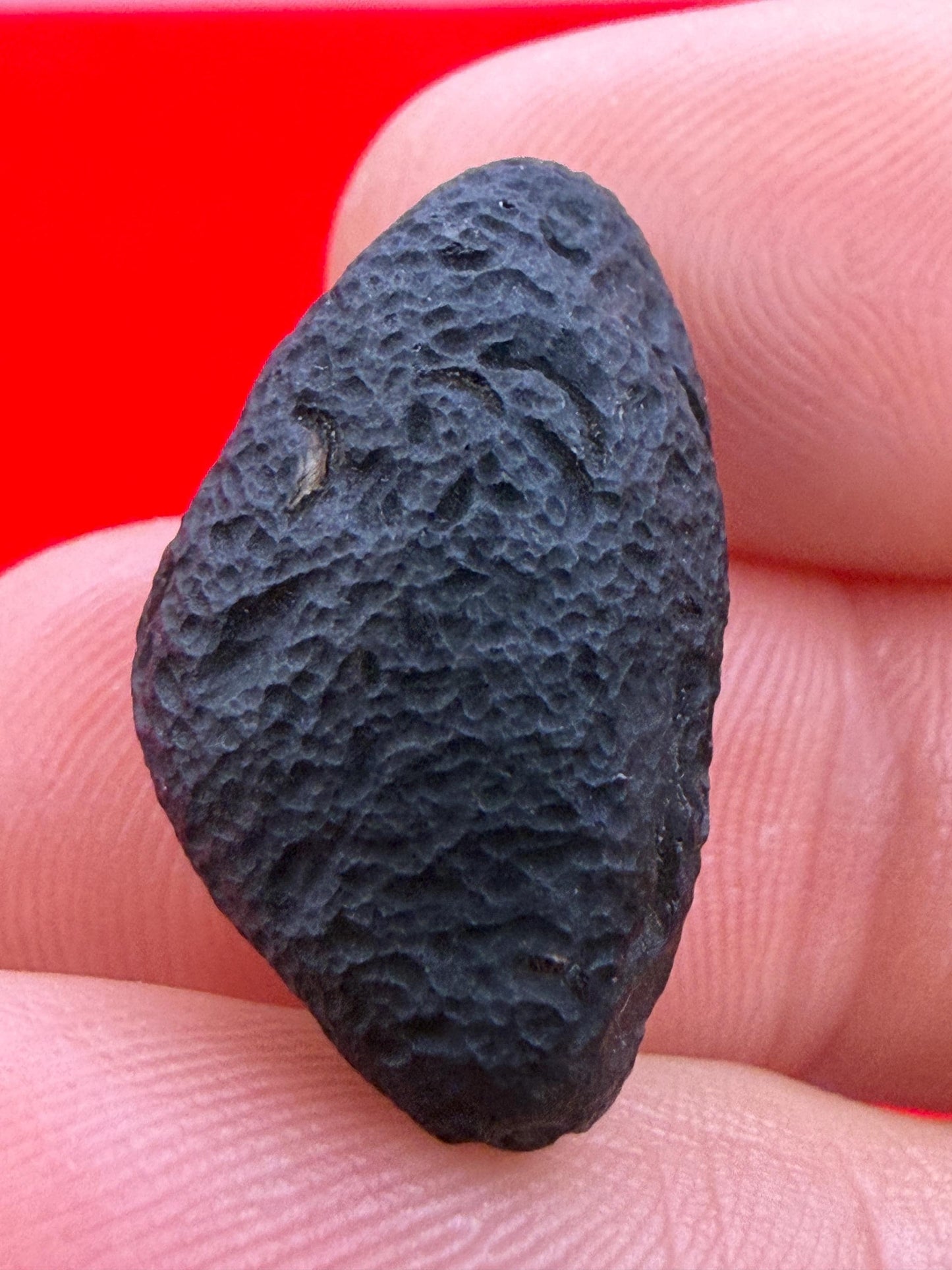 Saffordite Stone: Rare Cintamani, Arizona Tektite - 4.64 Grams