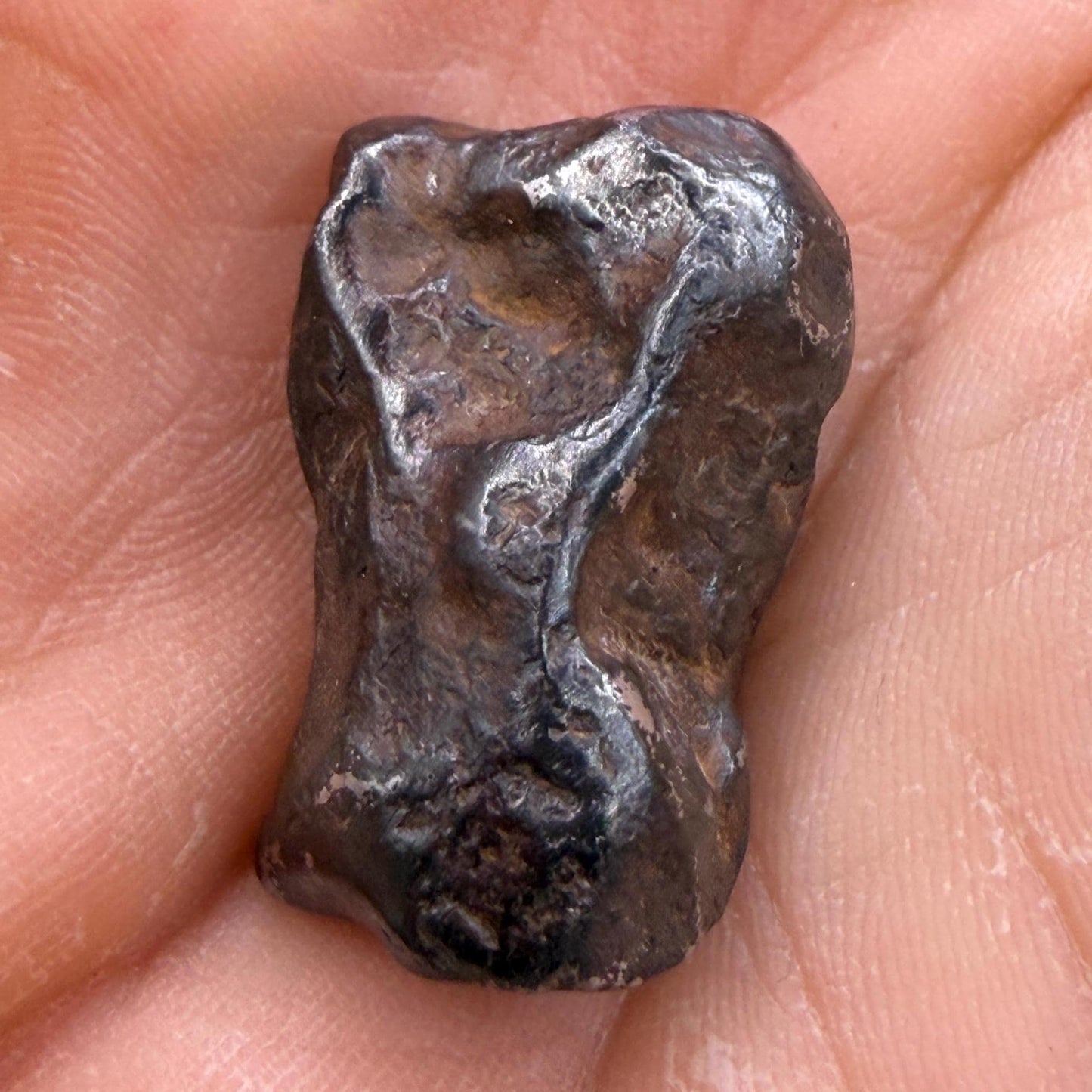 Agoudal Iron Meteorite Specimen: Authentic Meteorite, IIAB Hexahedrite, 14.01 grams